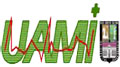 UAMI